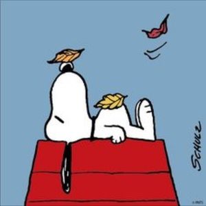 Meet your Posher, Kim2365